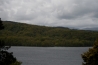IMG_6574.jpg